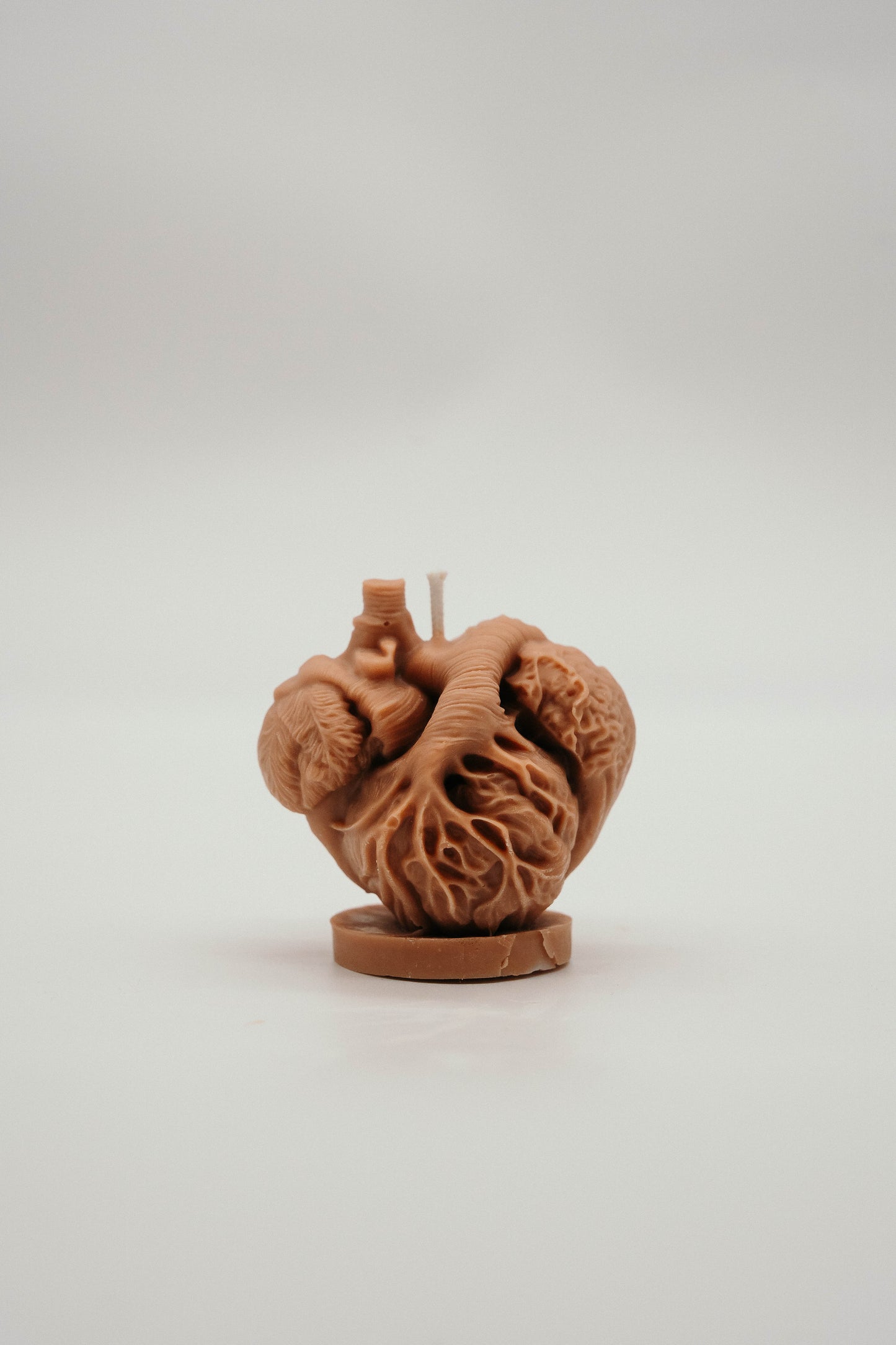 Anatomical Heart Candle