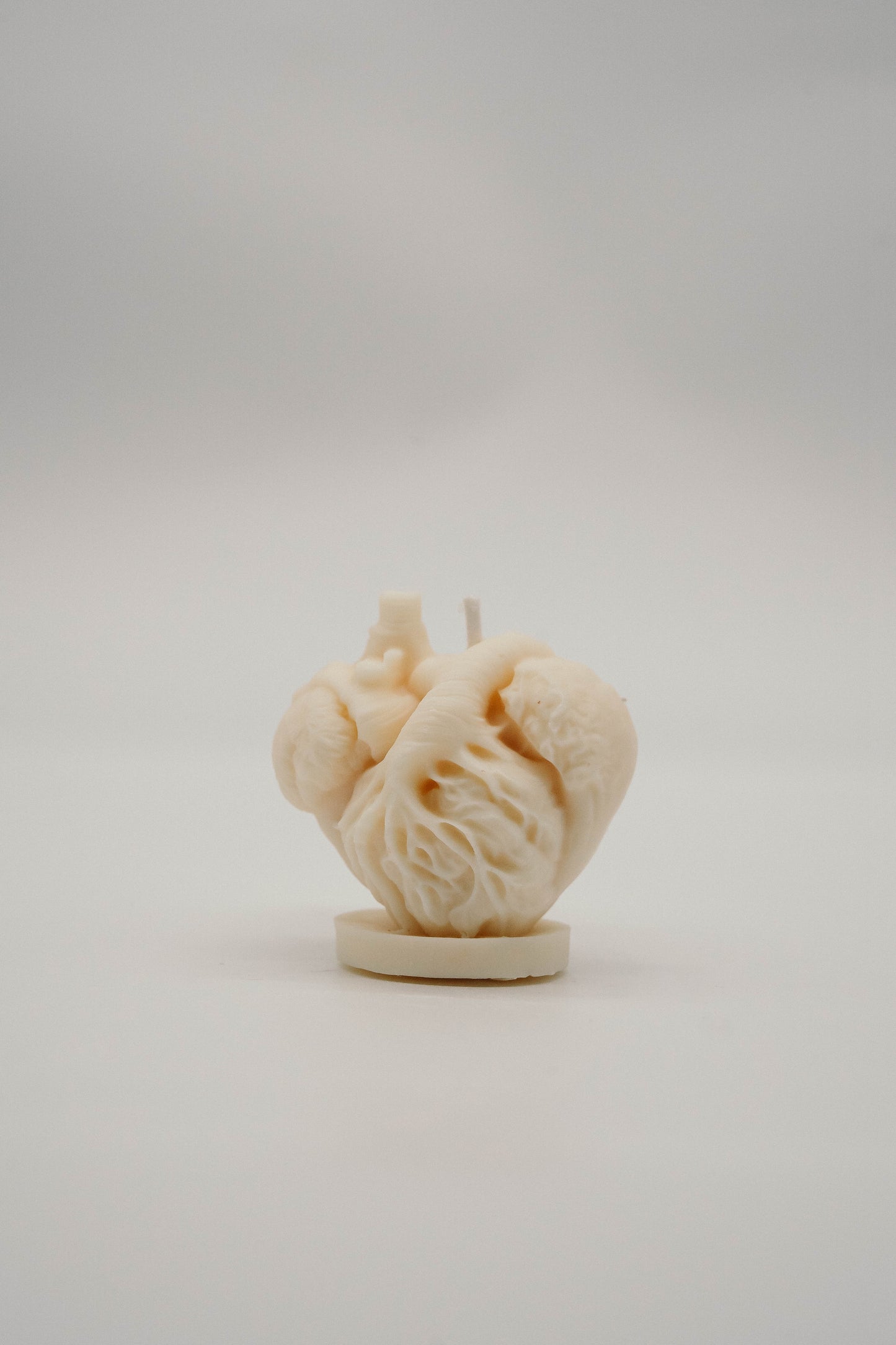 Anatomical Heart Candle