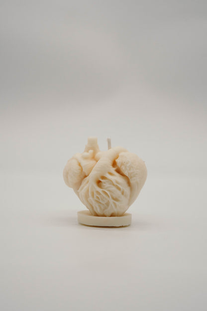 Anatomical Heart Candle