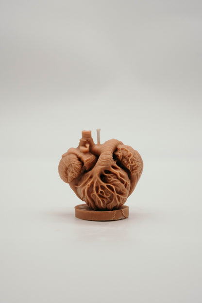 Anatomical Heart Candle