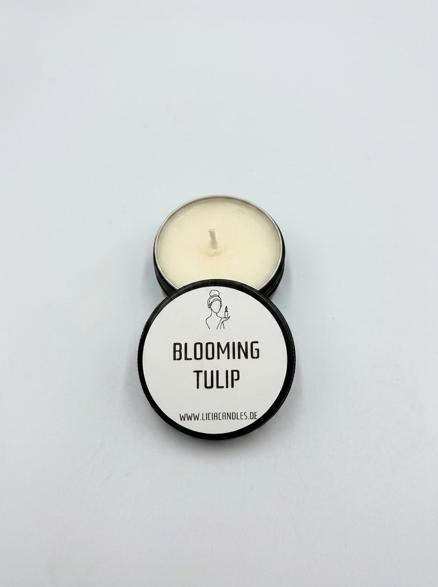Blooming Tulip (Scent Edit)