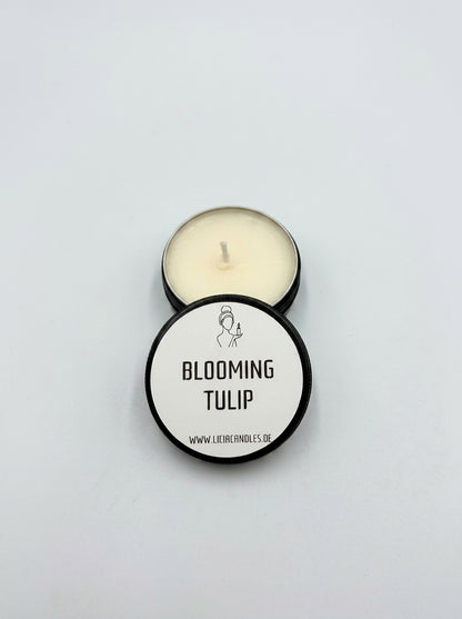 Blooming Tulip (Scent Edit)