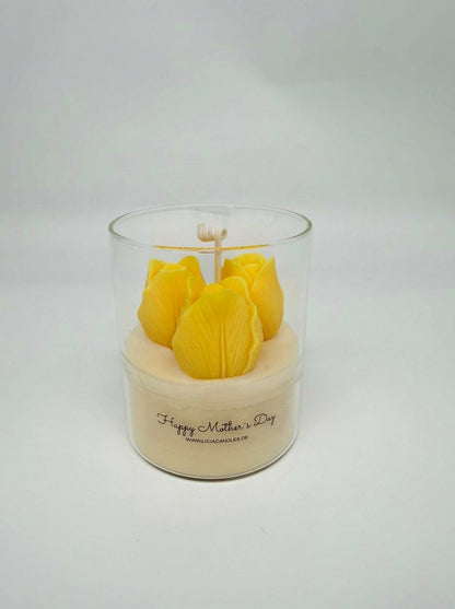 Blooming Tulip