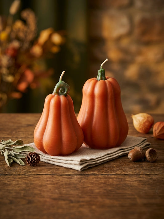 Pumpkin Duo