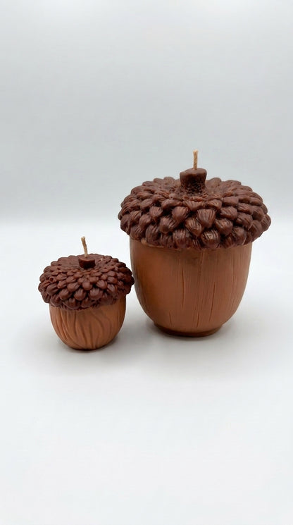 Acorn Duo